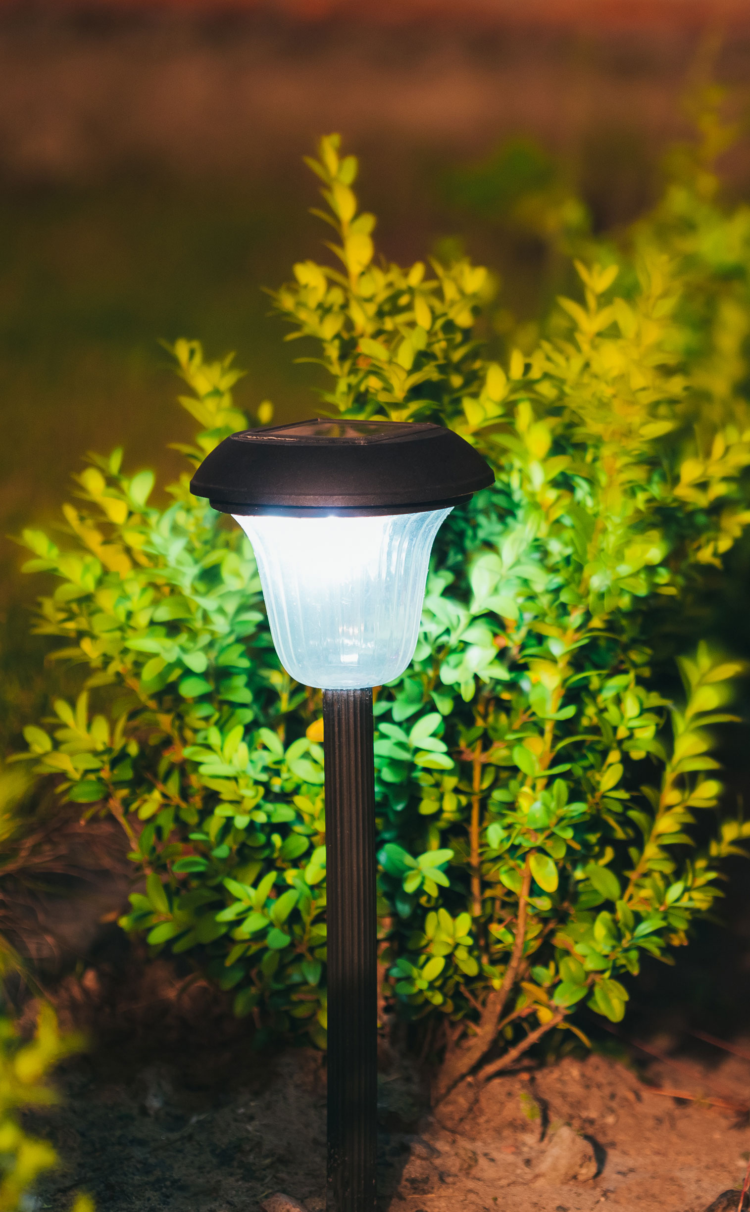 houston outdoor light in park