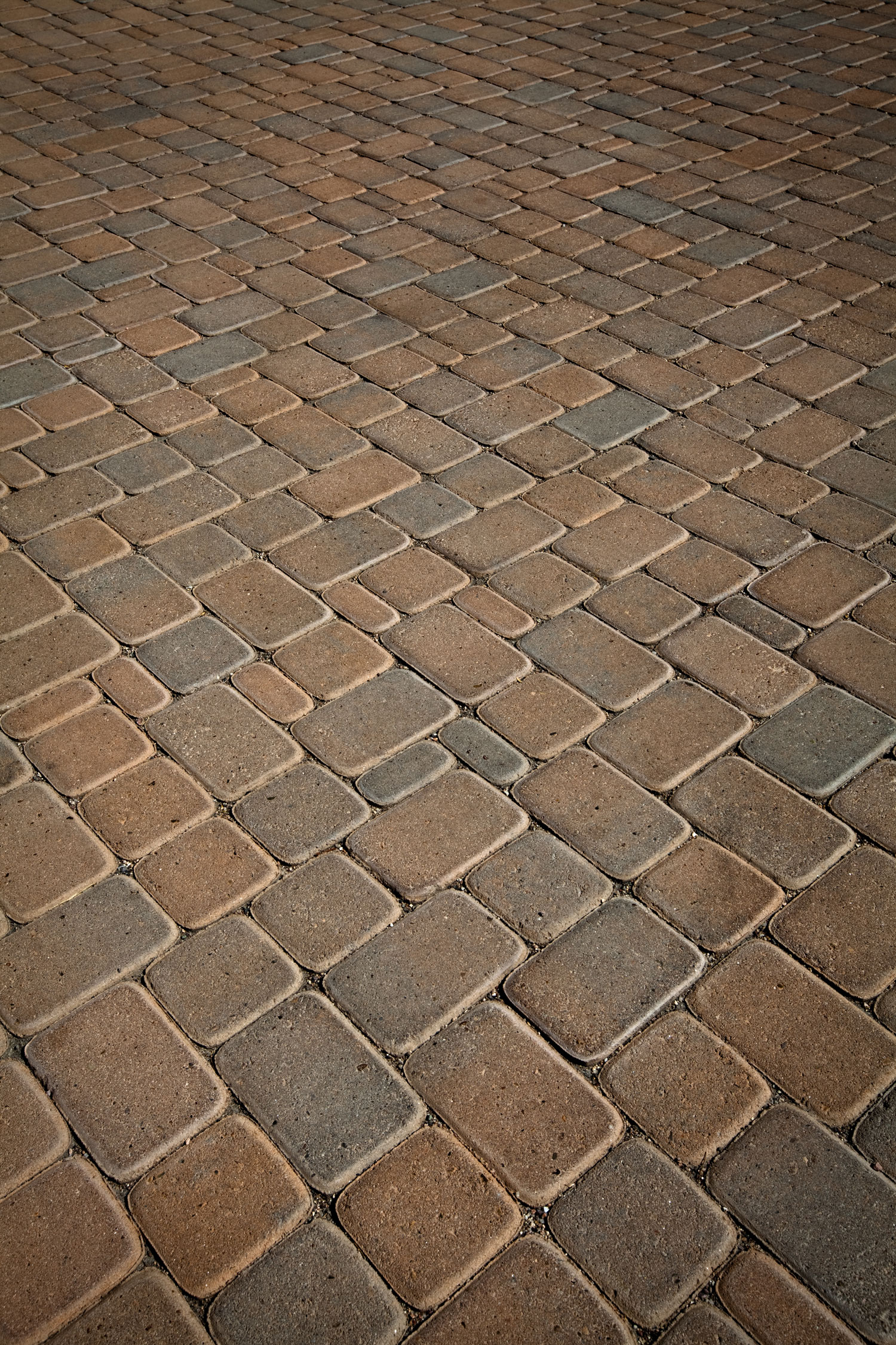 Mother and Child in Playground