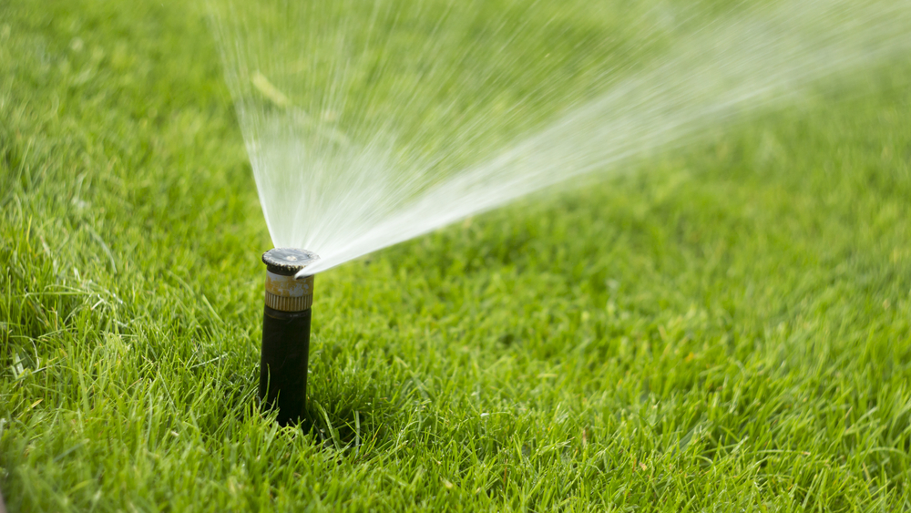 Bezuz-Lawn-Landscaping-Sprinkler-Pavement-3