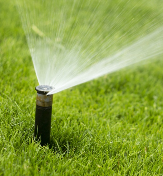 man playing soccer on backyard turf