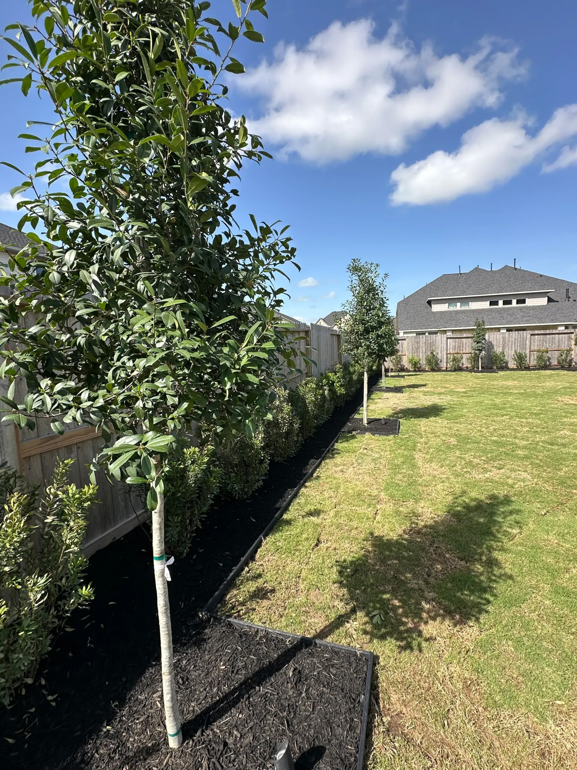 Bezuz-Lawn-and-Landscaping_Residential-Landscaping-in-Katy-TX-093