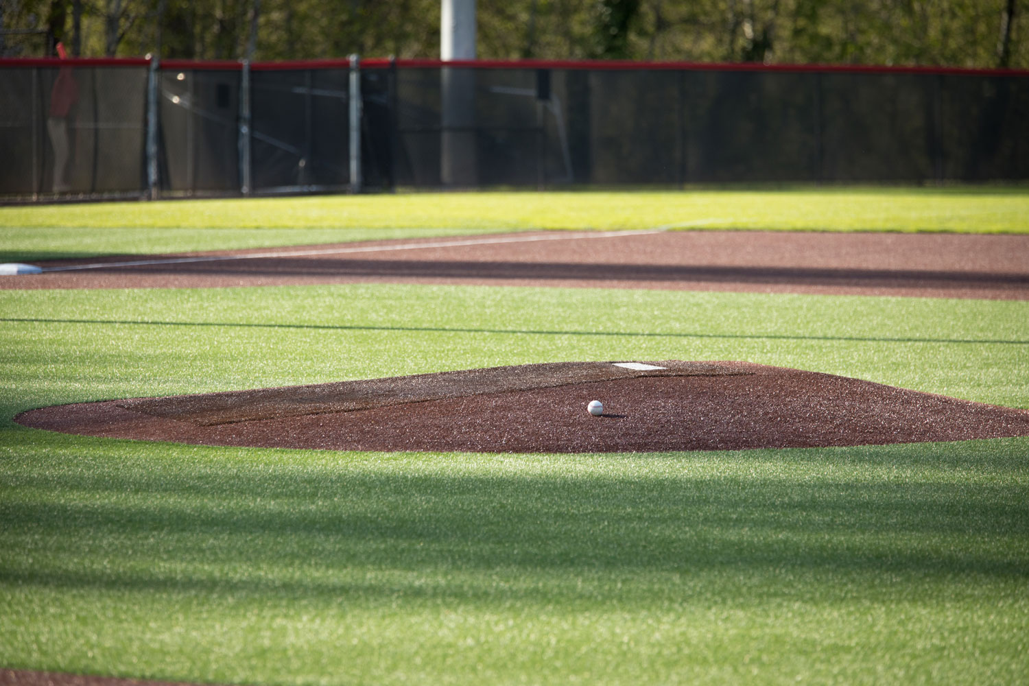 houston baseball turf