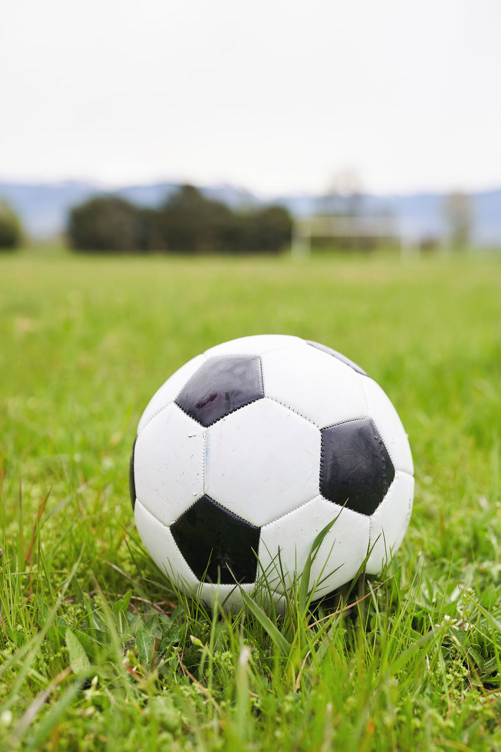 Soccer Ball on Field Turf