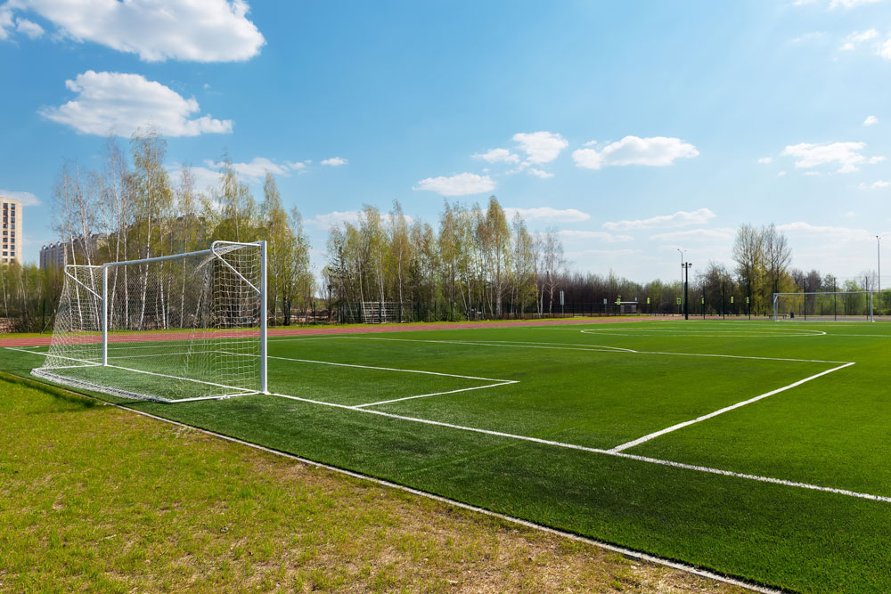 Houston Goal Soccer Turf