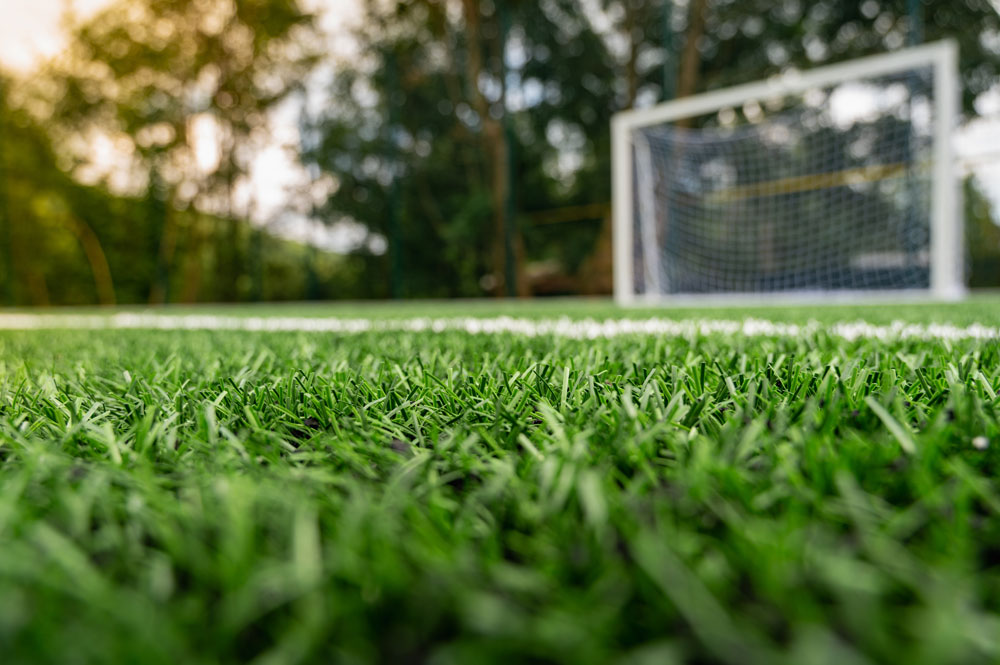 Soccer Field Goal Turf