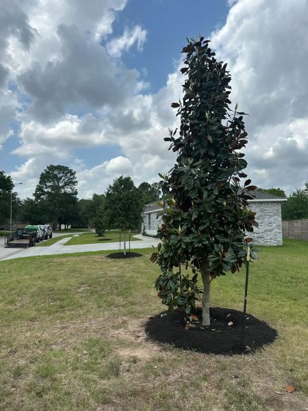 Bezuz-Lawn-and-Landscaping_Residential-Landscaping-in-Katy-TX-082