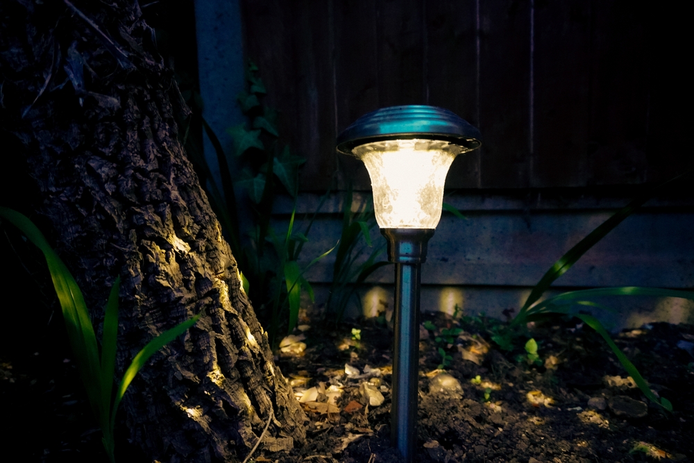 Bezuz-Landscaping-and-Design-outdoor-lighting-close-up-2