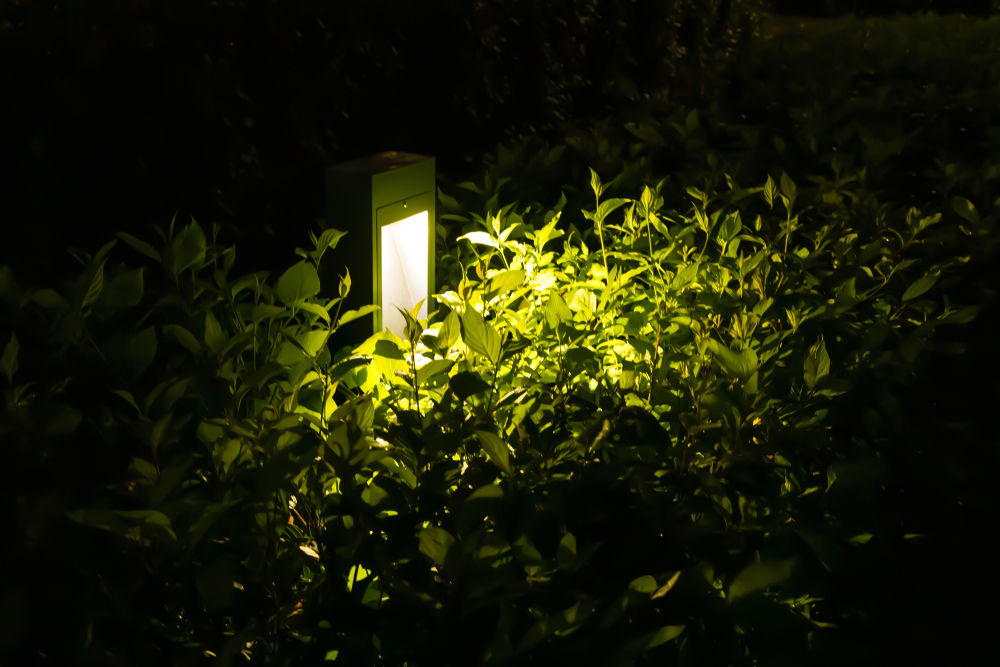 Bezuz-Landscaping-and-Design-outdoor-lighting-close-up