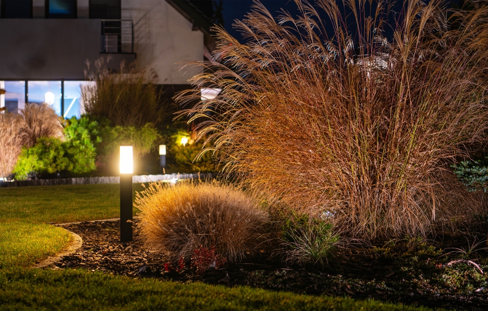 Bezuz-Landscaping-and-Design-outdoor-lighting