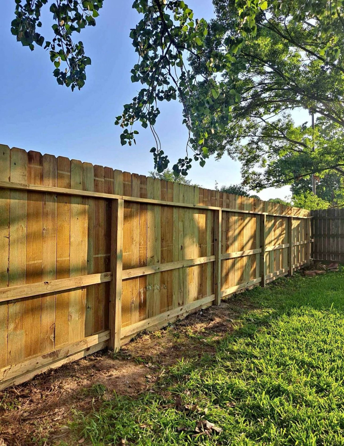 Bezuz-Lawn-and-Landscaping_Residential-Landscaping-in-Katy-TX-043