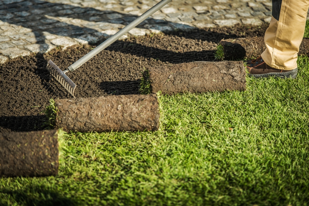 Bezuz-Landscaping-and-Design-sod-installation-residential