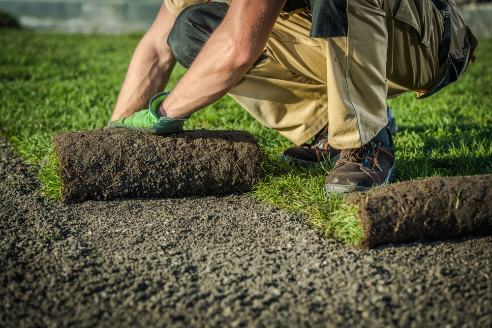 Bezuz-Landscaping-and-Design-sod