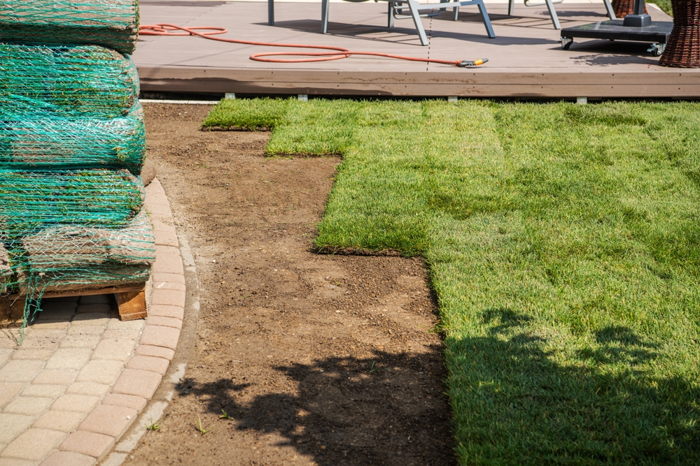 Bezuz-Landscaping-and-Design-sodded-grass