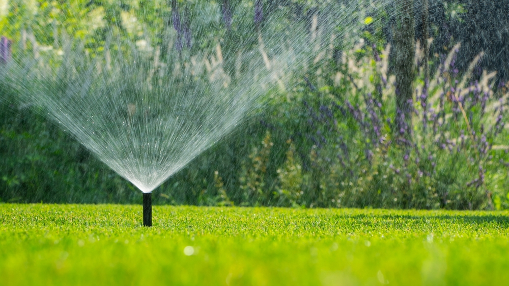 Bezuz-Landscaping-and-Design-sprinkler-2