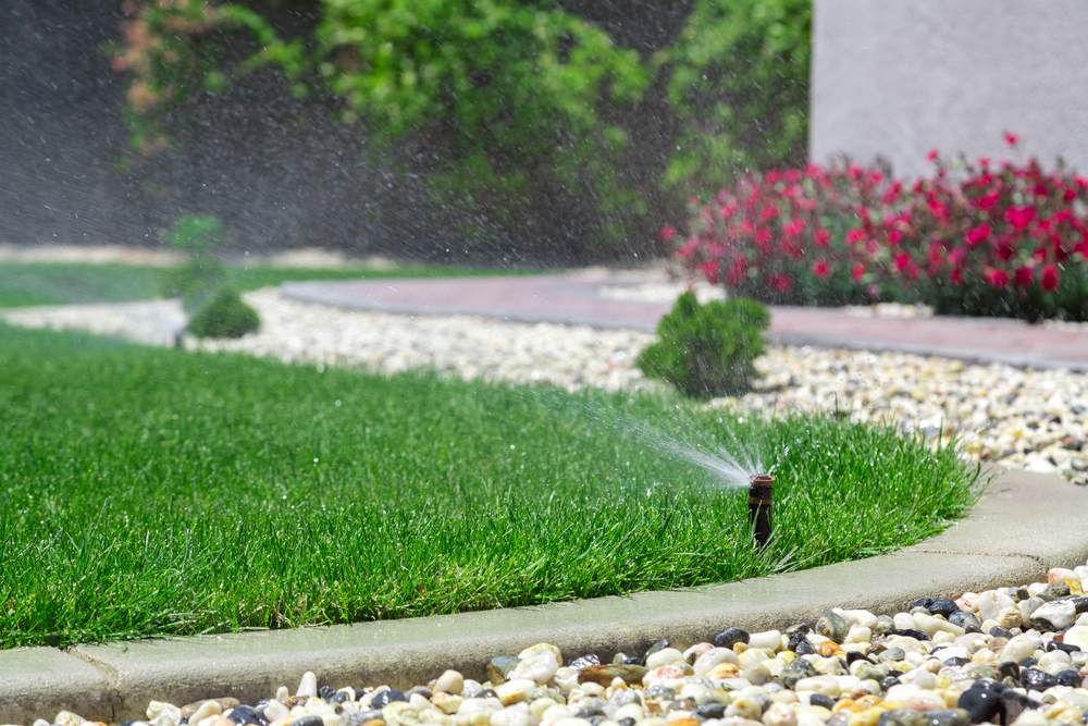 Bezuz-Landscaping-and-Design-sprinklers