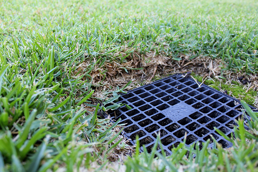 Bezuz-Landscaping-Yard-Drainage-1