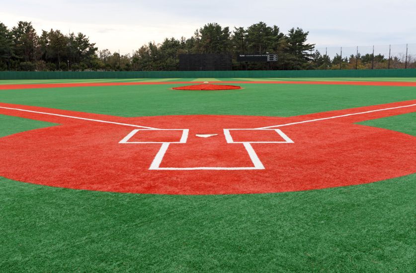 houston baseball turf